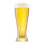 LAGER - GREAT MARLIN LAGER