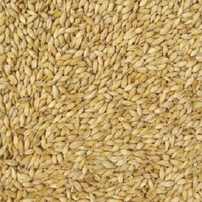 WY ORGANIC PILSNER 25KG