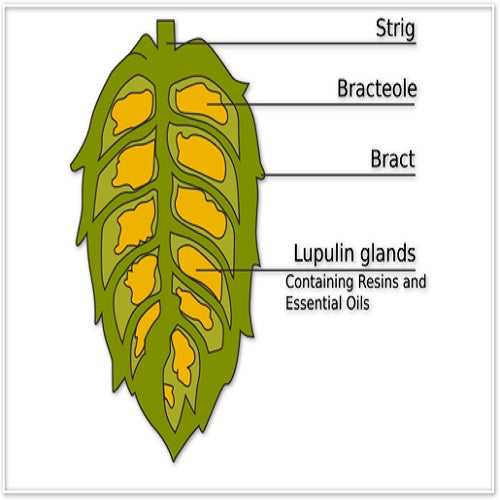 HOPS AMARILLO PELLETS