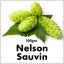 HOPS NELSON SAUVIN PELLETS