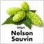 HOPS NELSON SAUVIN PELLETS