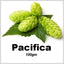 HOPS PACIFICA PELLETS