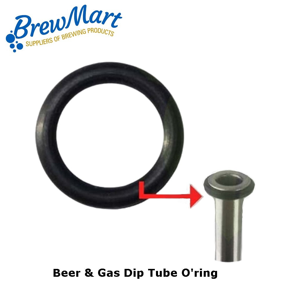 ORING - DIP TUBE