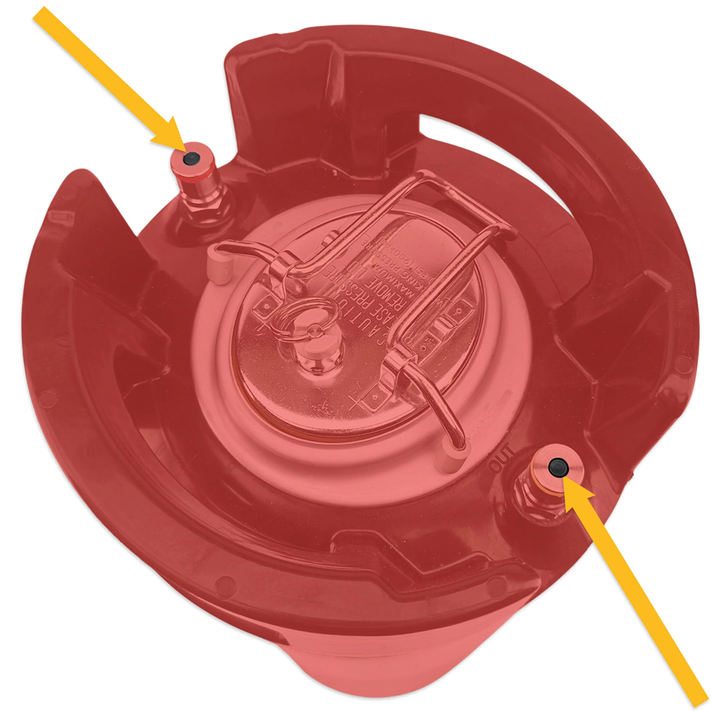 POPPET VALVE SET - BLACK EYED POPPETS