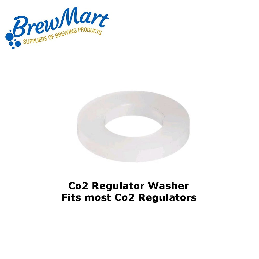 REGULATOR WASHER