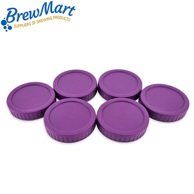 MASON JAR LEAK-PROOF LIDS x 6