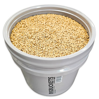 BIGBUCKET 13L - WITH SCREW TOP GAMMA SEAL LID
