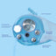 APOLLO STAINLESS STEEL PRESSURE LID