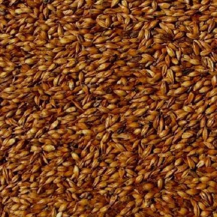 WY CARAAROMA MALT 500gm