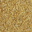 WY CARAPILS MALT
