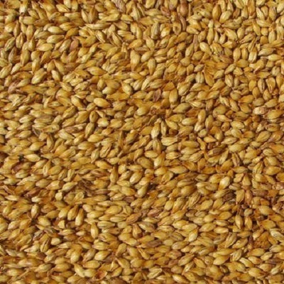 WY CARARED MALT