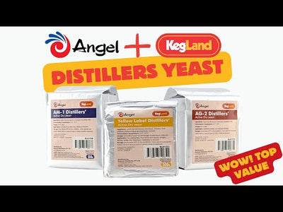 ANGEL YEAST - RED LABEL 500gm