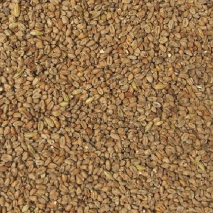 WY WHEAT - DARK MALT 500gm