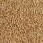 WY WHEAT - PALE MALT 500gm